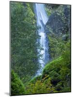 Oregon, Columbia River Gorge National Scenic Area, Starvation Creek Falls-Jamie & Judy Wild-Mounted Photographic Print