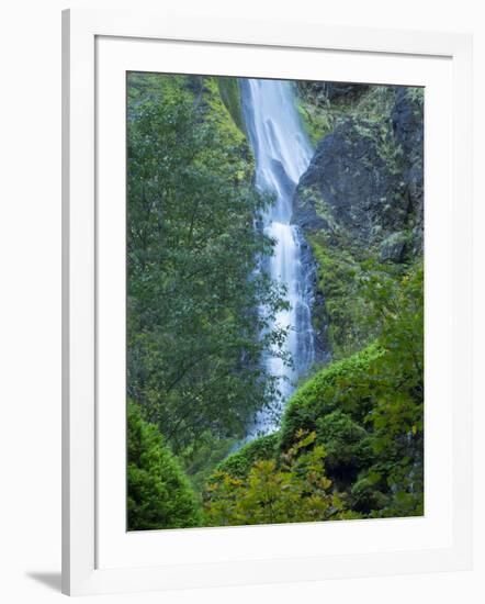 Oregon, Columbia River Gorge National Scenic Area, Starvation Creek Falls-Jamie & Judy Wild-Framed Photographic Print