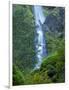 Oregon, Columbia River Gorge National Scenic Area, Starvation Creek Falls-Jamie & Judy Wild-Framed Photographic Print