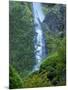 Oregon, Columbia River Gorge National Scenic Area, Starvation Creek Falls-Jamie & Judy Wild-Mounted Photographic Print