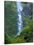 Oregon, Columbia River Gorge National Scenic Area, Starvation Creek Falls-Jamie & Judy Wild-Stretched Canvas