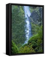 Oregon, Columbia River Gorge National Scenic Area, Starvation Creek Falls-Jamie & Judy Wild-Framed Stretched Canvas