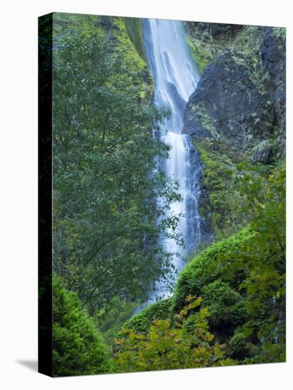 Oregon, Columbia River Gorge National Scenic Area, Starvation Creek Falls-Jamie & Judy Wild-Stretched Canvas