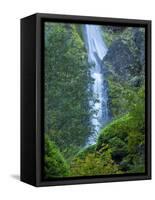Oregon, Columbia River Gorge National Scenic Area, Starvation Creek Falls-Jamie & Judy Wild-Framed Stretched Canvas