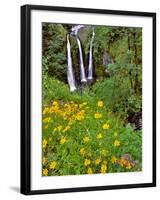 Oregon, Columbia River Gorge National Scenic Area. Triple Falls-Steve Terrill-Framed Photographic Print