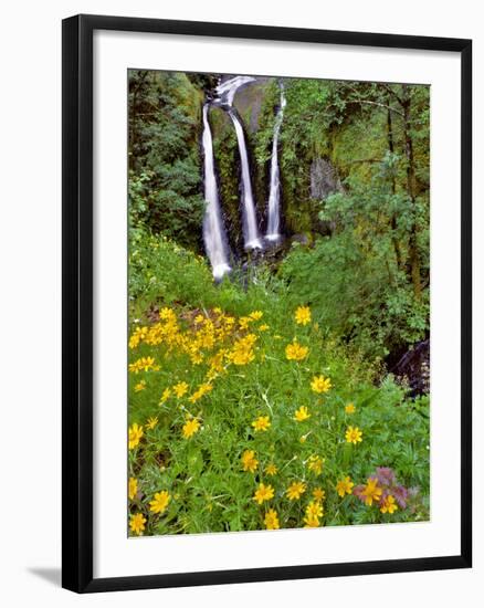 Oregon, Columbia River Gorge National Scenic Area. Triple Falls-Steve Terrill-Framed Photographic Print