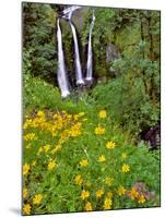 Oregon, Columbia River Gorge National Scenic Area. Triple Falls-Steve Terrill-Mounted Photographic Print