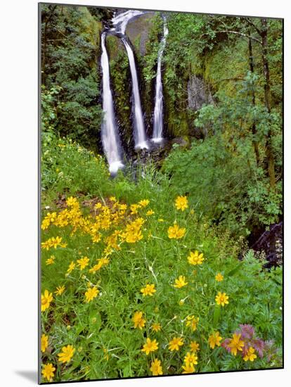Oregon, Columbia River Gorge National Scenic Area. Triple Falls-Steve Terrill-Mounted Photographic Print