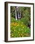 Oregon, Columbia River Gorge National Scenic Area. Triple Falls-Steve Terrill-Framed Photographic Print