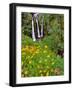 Oregon, Columbia River Gorge National Scenic Area. Triple Falls-Steve Terrill-Framed Photographic Print