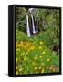 Oregon, Columbia River Gorge National Scenic Area. Triple Falls-Steve Terrill-Framed Stretched Canvas