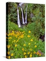 Oregon, Columbia River Gorge National Scenic Area. Triple Falls-Steve Terrill-Stretched Canvas