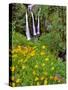 Oregon, Columbia River Gorge National Scenic Area. Triple Falls-Steve Terrill-Stretched Canvas