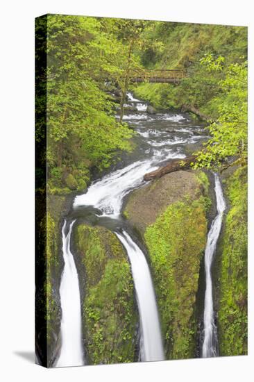 Oregon, Columbia River Gorge National Scenic Area, Triple Falls-Jamie & Judy Wild-Stretched Canvas