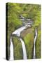 Oregon, Columbia River Gorge National Scenic Area, Triple Falls-Jamie & Judy Wild-Stretched Canvas