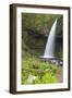 Oregon, Columbia River Gorge National Scenic Area, Upper Latourell Falls-Jamie & Judy Wild-Framed Photographic Print