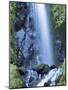 Oregon, Columbia River Gorge National Scenic Area, Warren Creek, at Hole in the Wall Falls-Jamie & Judy Wild-Mounted Photographic Print