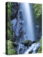 Oregon, Columbia River Gorge National Scenic Area, Warren Creek, at Hole in the Wall Falls-Jamie & Judy Wild-Stretched Canvas