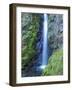 Oregon, Columbia River Gorge National Scenic Area, Warren Creek, at Hole in the Wall Falls-Jamie & Judy Wild-Framed Photographic Print