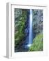 Oregon, Columbia River Gorge National Scenic Area, Warren Creek, at Hole in the Wall Falls-Jamie & Judy Wild-Framed Photographic Print