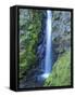 Oregon, Columbia River Gorge National Scenic Area, Warren Creek, at Hole in the Wall Falls-Jamie & Judy Wild-Framed Stretched Canvas