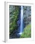 Oregon, Columbia River Gorge National Scenic Area, Warren Creek, at Hole in the Wall Falls-Jamie & Judy Wild-Framed Photographic Print