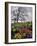 Oregon, Columbia River Gorge. Oak Tree and Wildflowers-Steve Terrill-Framed Photographic Print