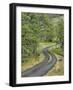 Oregon, Columbia River Gorge. Road Lined with Oak Trees-Steve Terrill-Framed Photographic Print