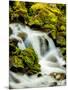 Oregon, Columbia River Gorge Scenic Area, Wahkeena Falls-Richard Duval-Mounted Premium Photographic Print