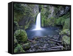 Oregon, Columbia River Gorge, Waclella Falls, USA-Michele Falzone-Framed Stretched Canvas