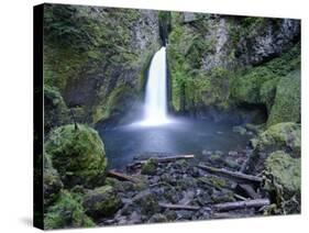 Oregon, Columbia River Gorge, Waclella Falls, USA-Michele Falzone-Stretched Canvas