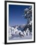 Oregon, Crater Lake National Park. Winter snow accumulates at Crater Lake-John Barger-Framed Photographic Print