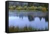 Oregon, Deschutes National Forest. Early autumn along the upper sections of the Deschutes River.-John Barger-Framed Stretched Canvas