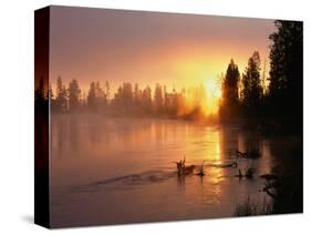 Oregon. Deschutes National Forest, rising sun breaks through morning fog along the Deschutes River.-John Barger-Stretched Canvas