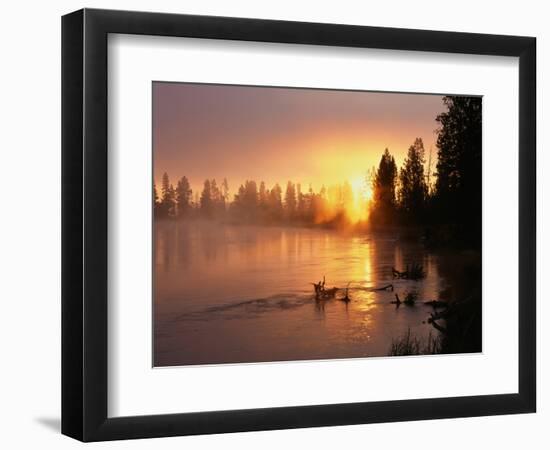 Oregon. Deschutes National Forest, rising sun breaks through morning fog along the Deschutes River.-John Barger-Framed Photographic Print