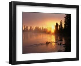 Oregon. Deschutes National Forest, rising sun breaks through morning fog along the Deschutes River.-John Barger-Framed Photographic Print