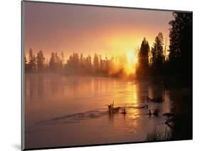 Oregon. Deschutes National Forest, rising sun breaks through morning fog along the Deschutes River.-John Barger-Mounted Photographic Print