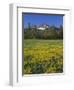 Oregon. Deschutes NF, Broken Top rises above coniferous forest and meadow of subalpine buttercup.-John Barger-Framed Photographic Print