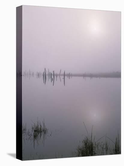 Oregon. Deschutes NF, early morning sun breaks through fog over Crane Prairie Reservoir.-John Barger-Stretched Canvas