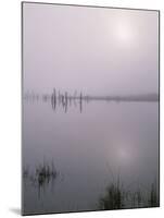 Oregon. Deschutes NF, early morning sun breaks through fog over Crane Prairie Reservoir.-John Barger-Mounted Photographic Print