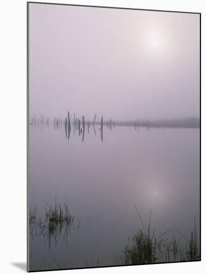 Oregon. Deschutes NF, early morning sun breaks through fog over Crane Prairie Reservoir.-John Barger-Mounted Photographic Print