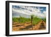 Oregon, Dundee. Vineyard in Dundee Hills-Richard Duval-Framed Photographic Print