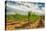 Oregon, Dundee. Vineyard in Dundee Hills-Richard Duval-Stretched Canvas