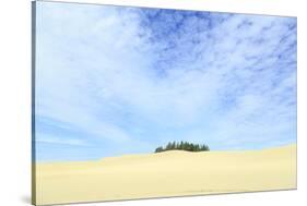 Oregon Dunes National Recreation Area, Oregon Coast near Reedsport.-Stuart Westmorland-Stretched Canvas