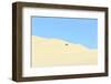 Oregon Dunes National Recreation Area, Oregon Coast near Reedsport.-Stuart Westmorland-Framed Photographic Print