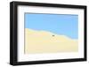 Oregon Dunes National Recreation Area, Oregon Coast near Reedsport.-Stuart Westmorland-Framed Photographic Print