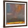 Oregon Grey 1-Deanna Schuerbeke-Framed Premium Giclee Print