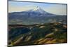 Oregon, Hood River, Aerial Landscape of Mt. Hood-Rick A^ Brown-Mounted Photographic Print