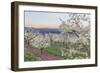 Oregon, Hood River. Cherry orchard and Mt. Hood-Rob Tilley-Framed Photographic Print