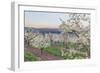 Oregon, Hood River. Cherry orchard and Mt. Hood-Rob Tilley-Framed Photographic Print